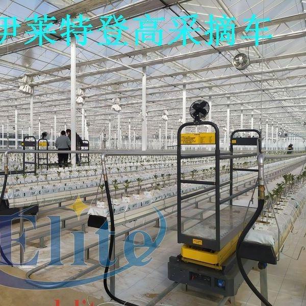 玻璃温室西红柿全自动自行式液压自行走登高采摘车厂家发货