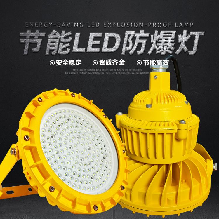 车间免维护照明隔爆型圆形LED防爆灯50W100W150W防爆泛光灯投光灯