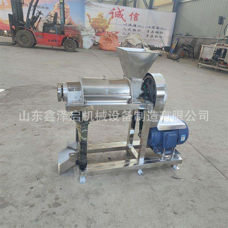 油柑果生姜大型榨汁机青柿子苹果压榨机水果蔬菜榨汁打浆机