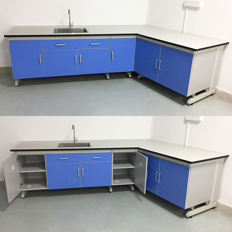 实验室工作台钢木实验台全钢中央台化学试验桌通风柜东莞深圳厂家