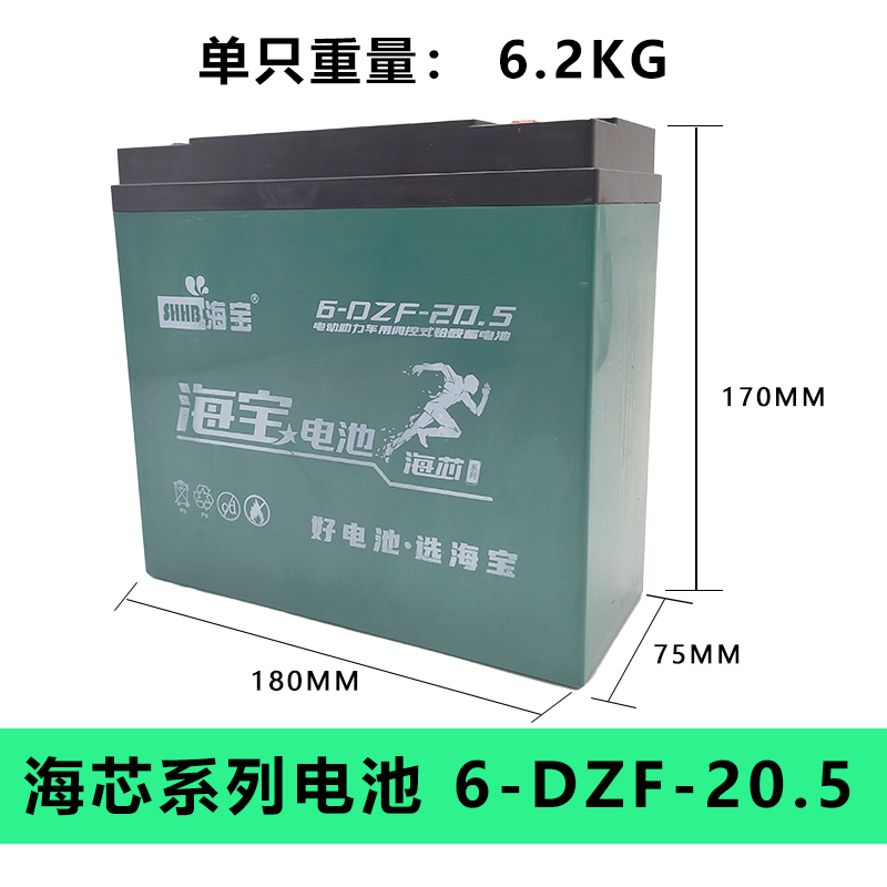 电动车V单个V20n0V20H72V20安两轮车三轮车电池