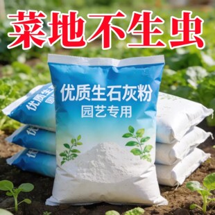 蔬菜专用生石灰粉土壤杀菌菜地除虫改善土壤高纯度生石灰其他肥料