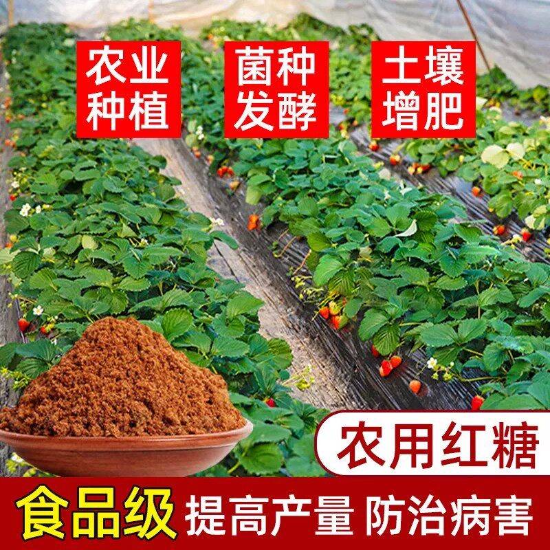 红糖发酵用甘蔗红糖粉环保酵素农