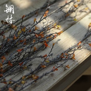柳芽嫩芽秋色仿真树枝柳条装饰复古带刺枝侘寂风民宿餐桌艺摆设