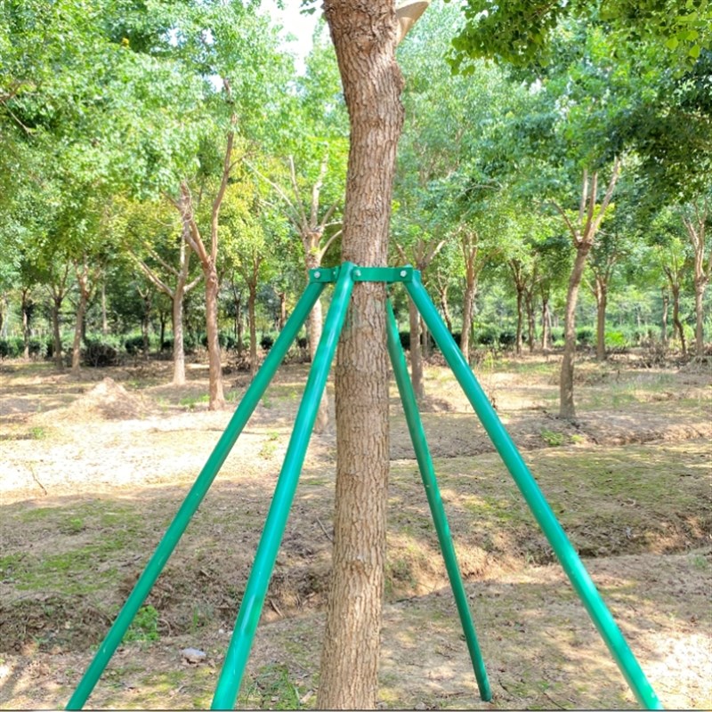 钢管树木支撑架固定器园林防风大树支撑杆苗木支架树撑绿化树苗