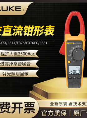 FLUKE福禄克F374/375/376FC/381/317/319交直流钳形万用表电流表