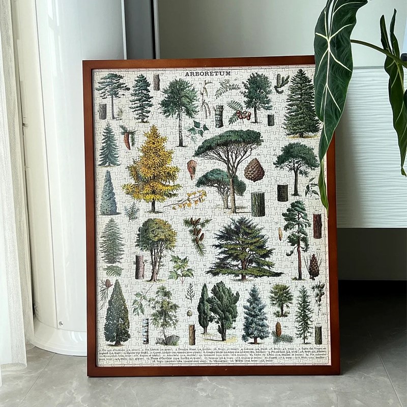 Cavallini植物花卉蝴蝶拼图框1000片500片架裱框70*55*35画框相框