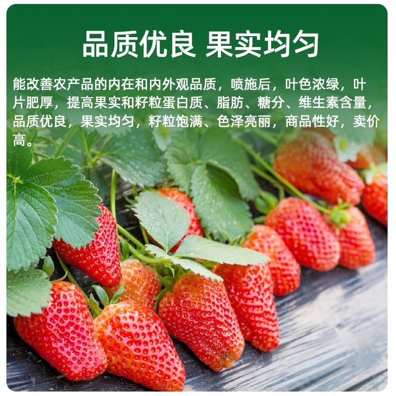 新农友钙镁硼锌铁钾中微量元素水溶肥果树蔬菜保花保果防裂增甜香