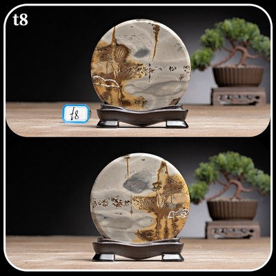 广西国画石草花石奇石直径9CM带底座正圆小薄片tt2