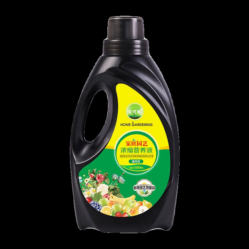 幸福树叶子干枯落叶肥料肥叶子发黄干尖掉叶黑斑病营养液