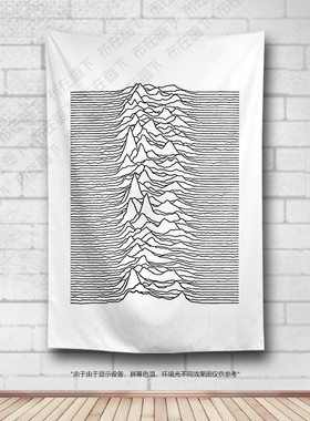 Jo Diiion快乐分裂摇滚乐队唱片挂布脉冲酒吧琴行装饰背景布