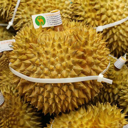 榴莲扎带自锁式固定卡扣绑带塑料扎线带*长扎带长