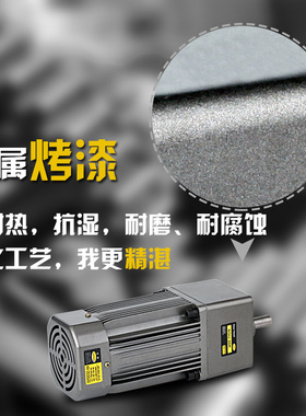 台松W微型交流异步齿轮调速定速减速电逆控制