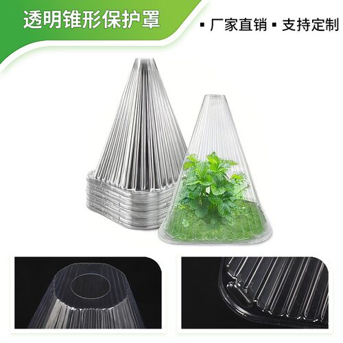 蔬菜植物罩瓜苗菜苗幼苗育苗秧苗