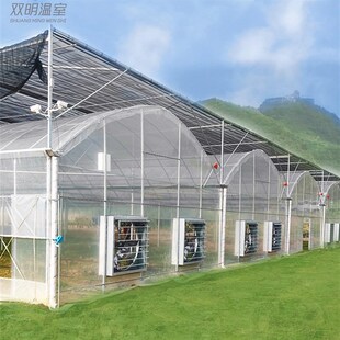 农业连体连栋温室大棚钢管骨架外遮阳蔬菜卉养殖钢架棚全支架