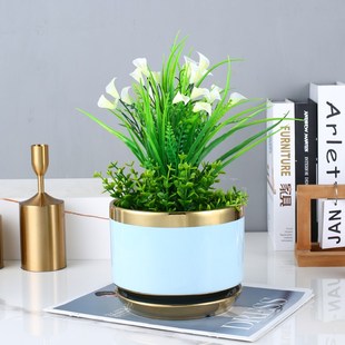 精致小花瓶金枝玉叶新款高端红色朱顶红专用陶瓷种花盆大号家用