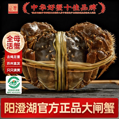 【阳澄湖官方正品大闸蟹】全母蟹