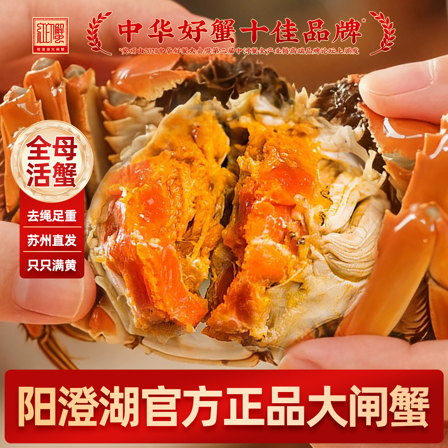 红印蟹阳澄湖全母大闸蟹鲜活螃蟹
