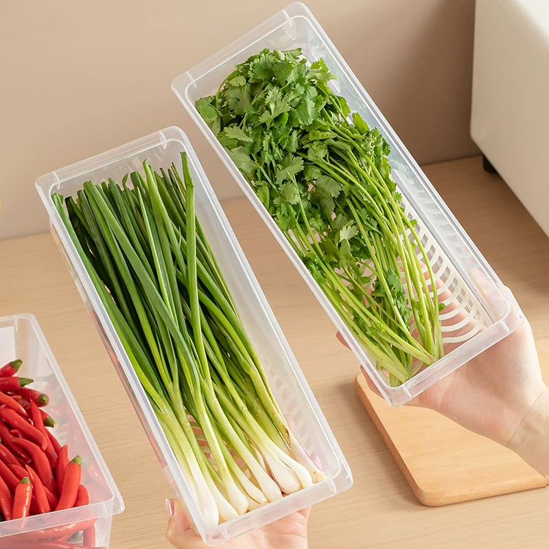 日本抗菌香菜小葱收纳盒冰箱芫荽整根保鲜神器食品级面条鸡蛋备菜