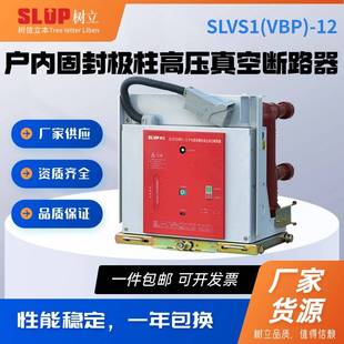 ZN73A VS1 固定式 VBP ZN630 12KV固封极柱户内压真空断路器手车式