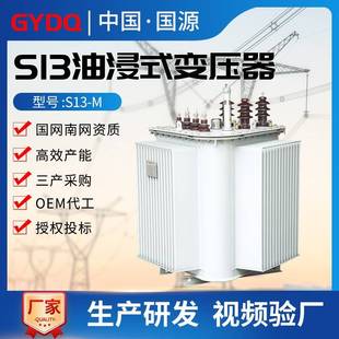 变压器 国源S13电力变压器10KV全铜全铝密封三相工业250kva油浸式