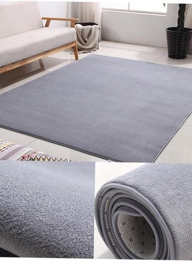 Carpet bedroom bed blanket livinCg room blanket floor mat ru
