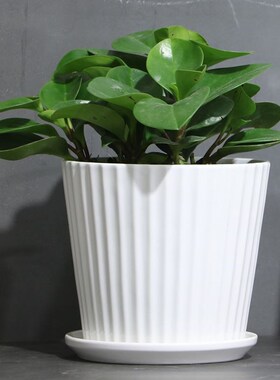 More large flowenr pot plastic plant trees green plant POTS