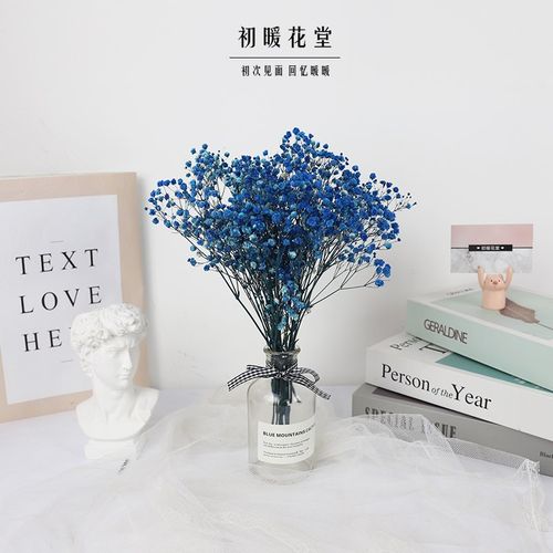 满天星干永生天然真束手工diy材料高级感家居婚庆装饰