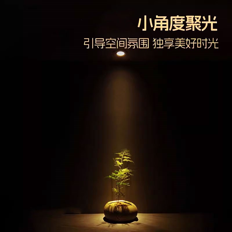 嵌入式小角度led深防眩小射灯1WW5W开孔55mm5.5cm聚光束角5度8度