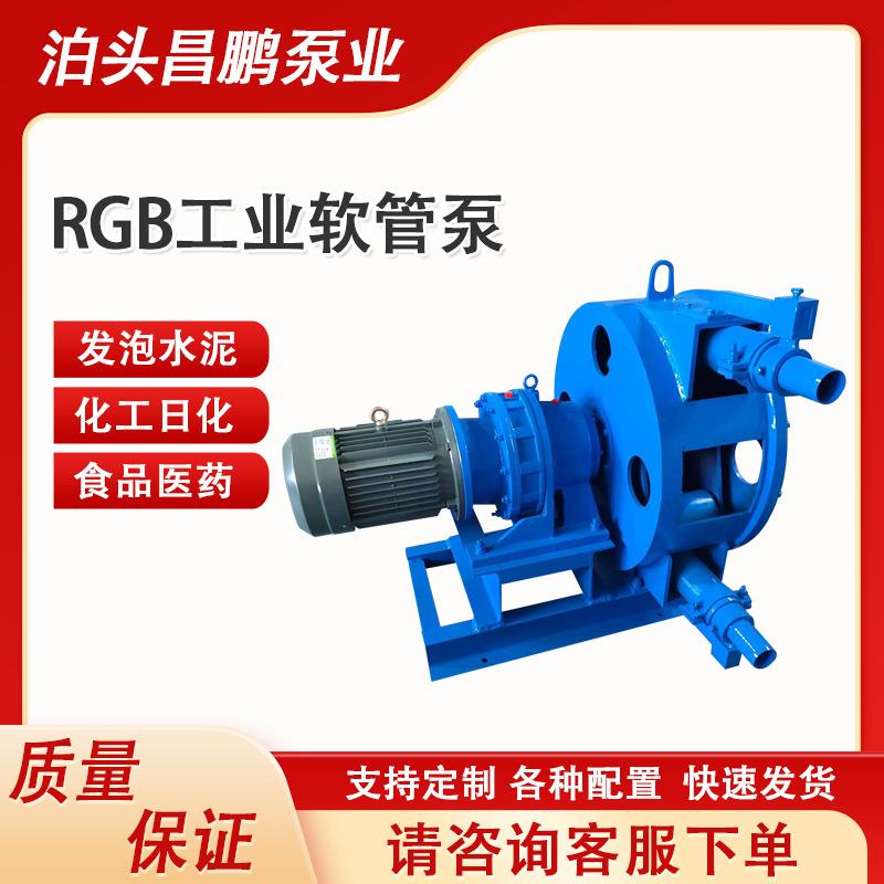 RGB75软管泵门芯灌浆发泡水泥挤压蠕动泵悬浮液颗粒杂质输送变频
