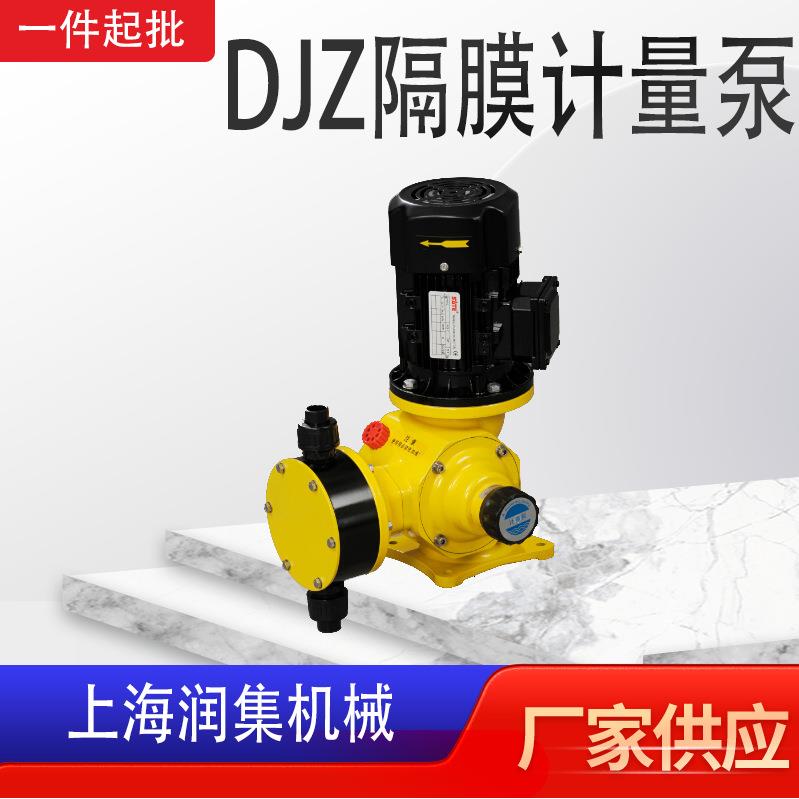 DJL隔膜计量泵DJZ计量加药泵PVC材质耐腐蚀DJD电动耐腐蚀计量泵