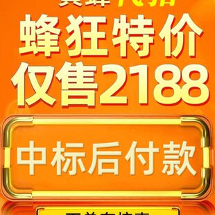 黄蜂代拍 中标快 中标后付款不中即赔款