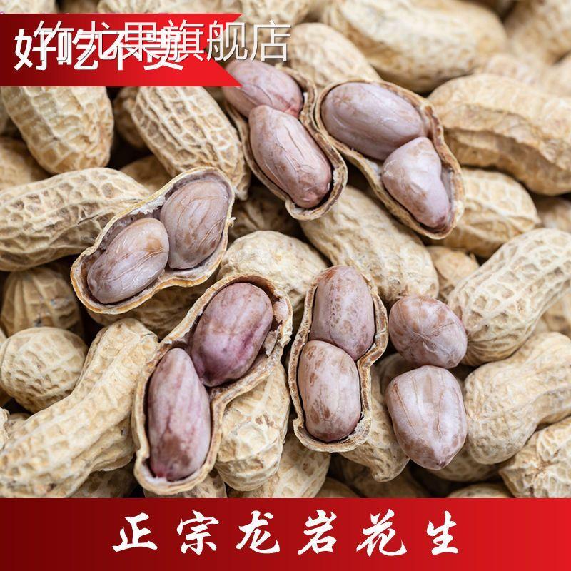 正宗龙岩水煮花生盐水五香白晒咸香干蒜蓉香带壳脆熟咸生红皮特产