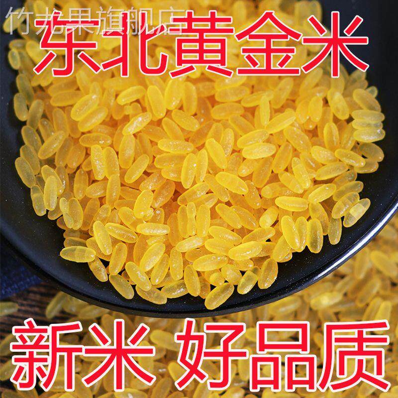 黄金米新米正宗东北黑龙江特产糯玉米做的非大米粗粮五谷10斤5斤