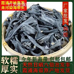 福建霞浦海带头干货特级厚免洗海带根加厚自产一级海带官方旗舰店