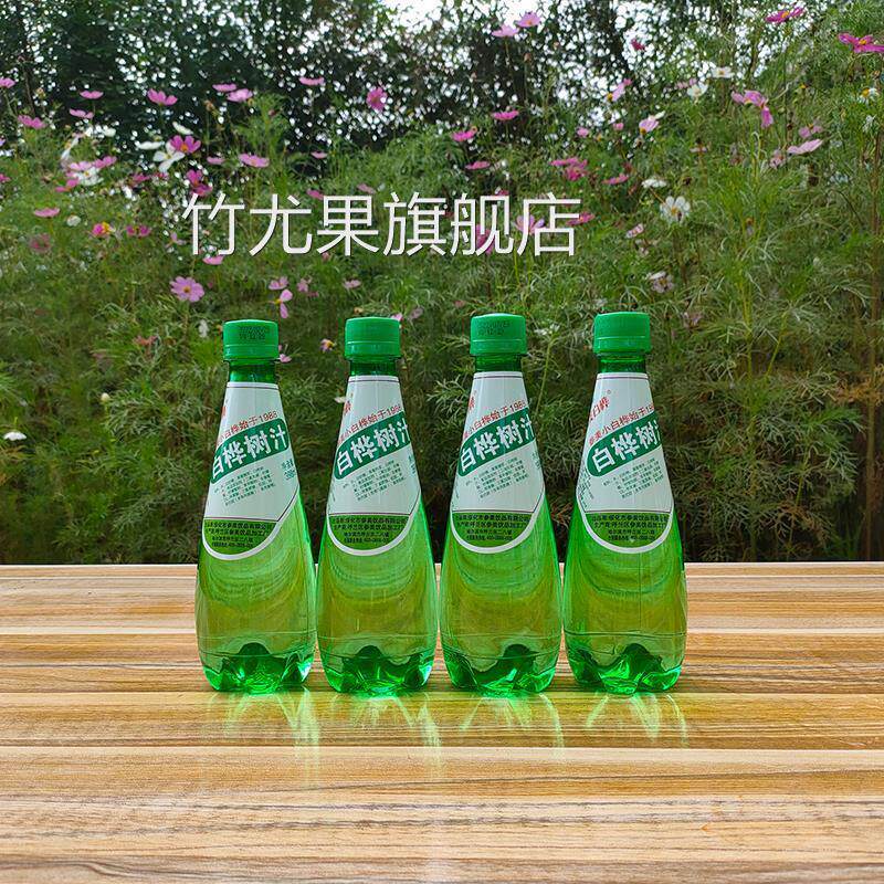 东北绥化特产参美白桦树汁气泡饮料网红饮品碳酸饮料传统老味瓶装