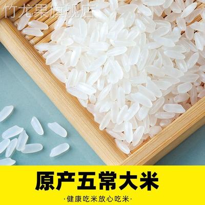 2024年东北大米五常大米袋子10斤装长粒香5斤新米包装袋20斤五TX