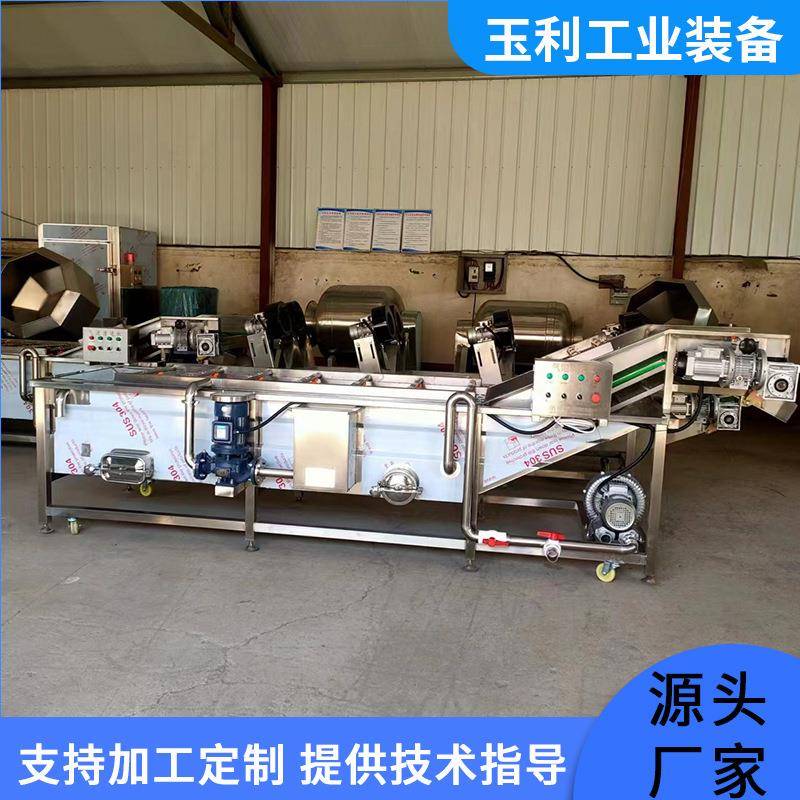 不锈钢全自动洗菜机厂家供应果蔬气泡清洗机蔬菜清洗机器设备