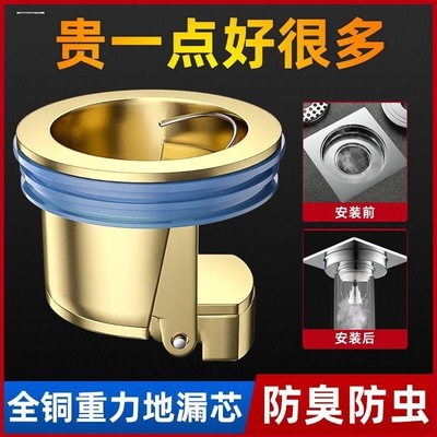 卫生间加长铜防臭地漏芯通用厕所