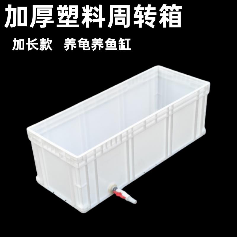 窄长型塑料乌龟箱加长加高生态带排水家用养鱼饲养水槽过滤周转箱