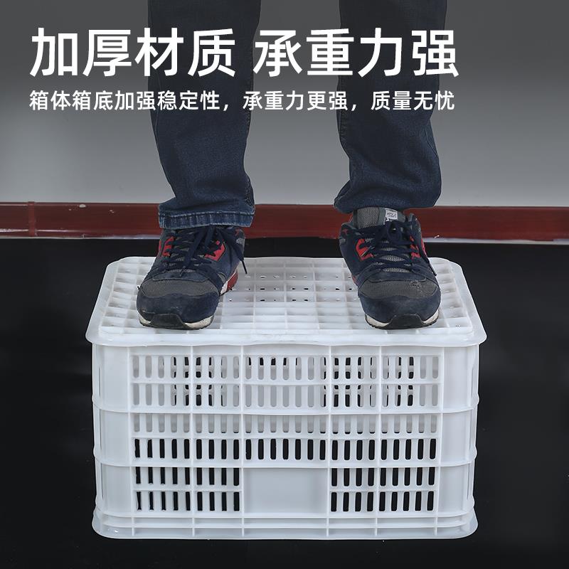 商用长方形快递框镂空筐周转塑料筐加厚特大号分货匡箱蔬菜水果
