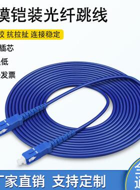 铠装光纤跳线单模单芯方头SCSC转FC-LC-ST尾纤光缆机房延长线室内