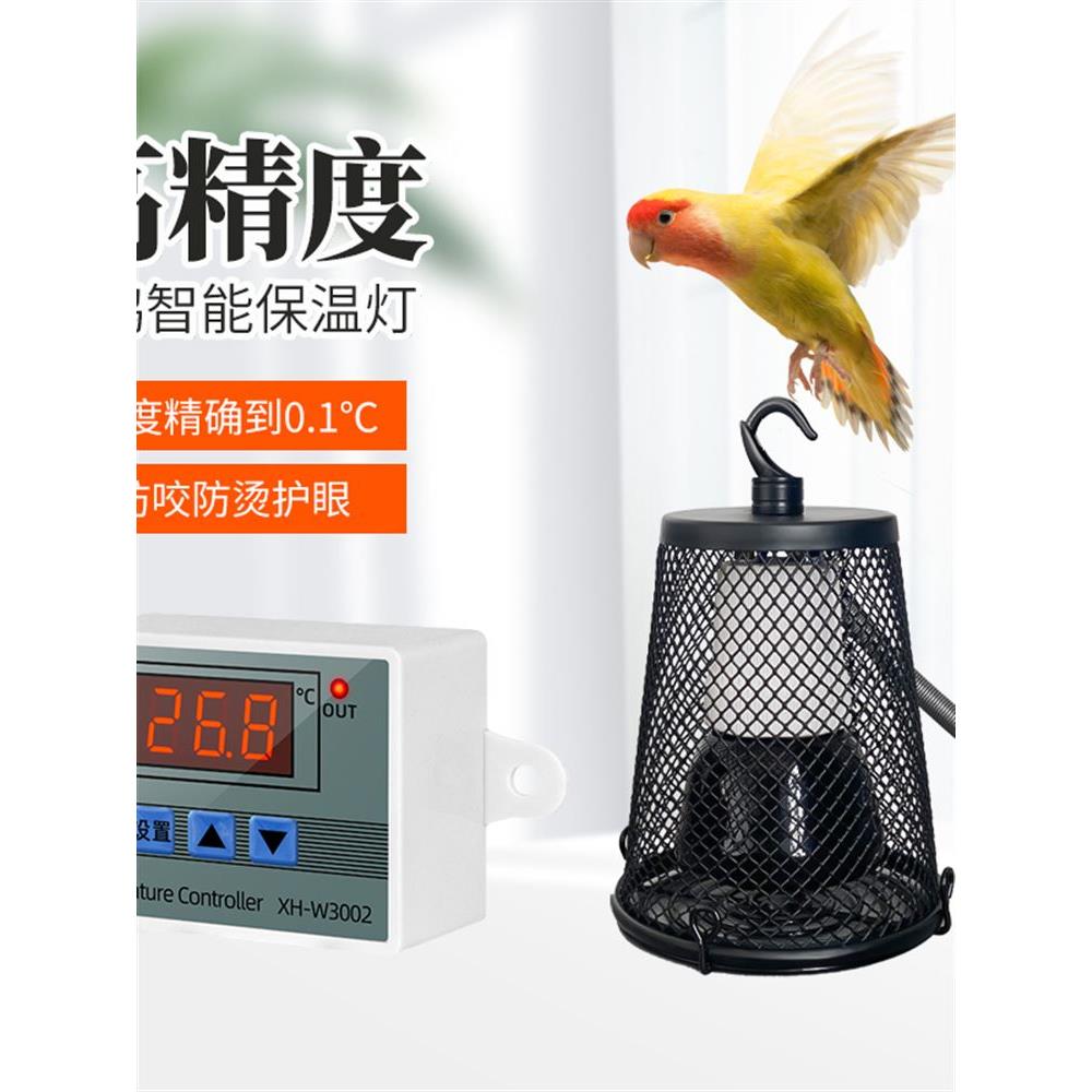玄凤小太阳鹦鹉保温灯过冬灯保暖神器取暖灯鸟笼加热灯取暖器用品