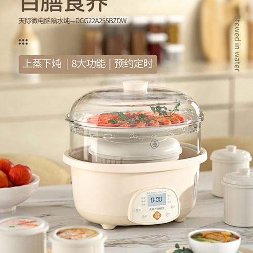 天际隔水炖陶瓷炖汤家用电炖锅全自动煮粥神器2-4人用燕窝电炖盅