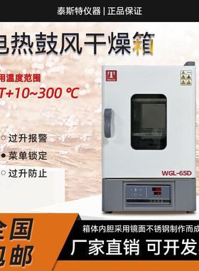 电热鼓风干燥箱WGL-125D恒温箱WGL-45L恒WGL-65D包邮