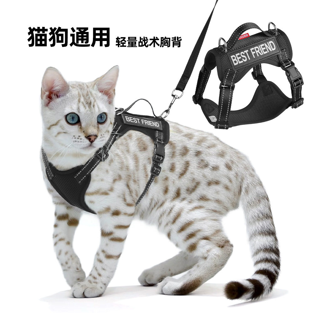 新款猫咪牵引小型犬牵引绳宠物胸背工字小狗轻薄透气遛狗外出猫绳
