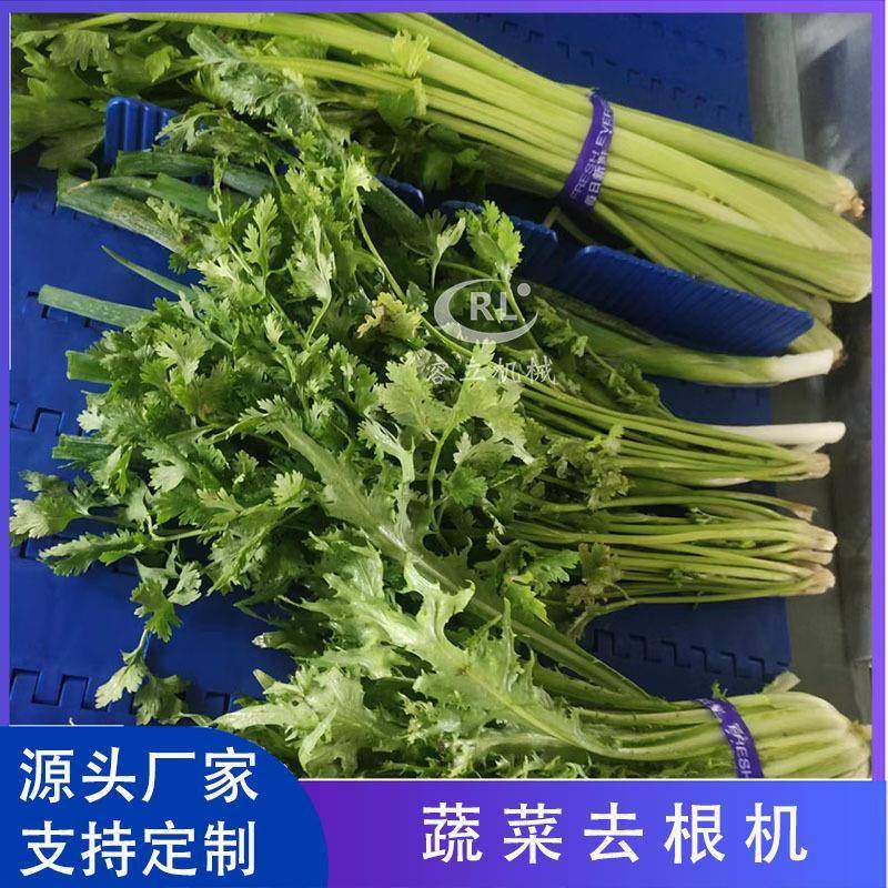 供应油麦菜去根机连续式韭薹韭黄切根设备全自动西葫芦去根机,清洗/食品/商业设备,其他食品加工设备,淘宝优惠券,粉丝福利购,淘宝优惠卷