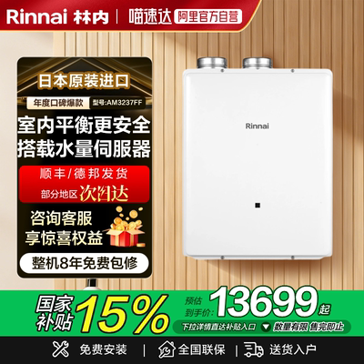 林内平衡式别墅级大水量热水器