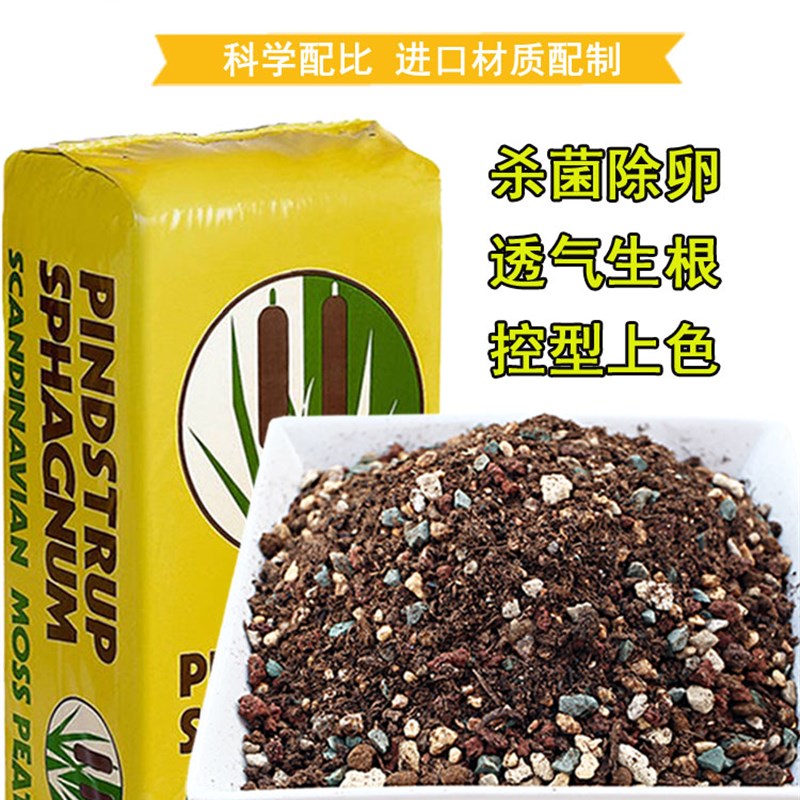 多肉营养土老庄土叶插土小苗颗粒种植土花卉园艺泥炭花土盆栽盆栽