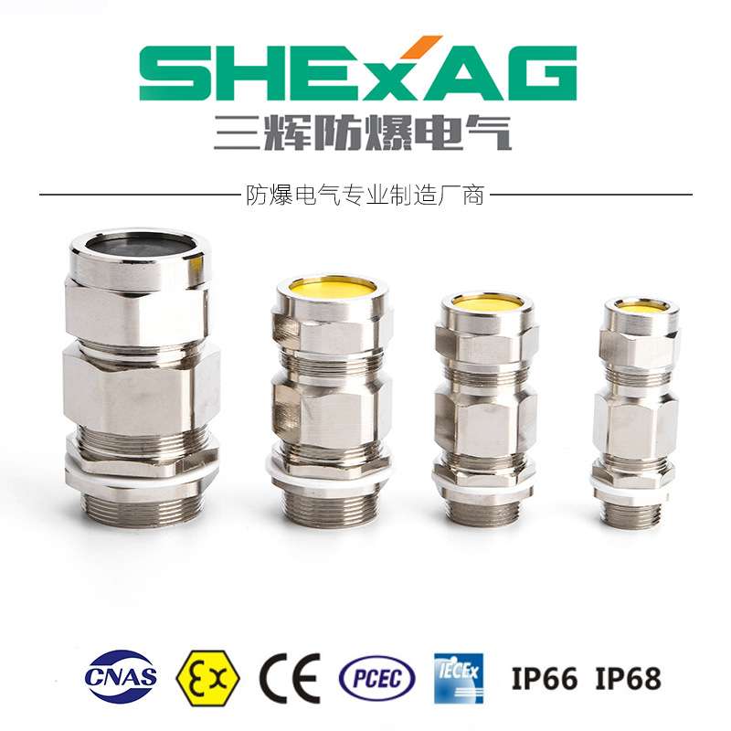 电缆接头 双密封铠装格兰接头BDM-6防爆电缆夹紧密封接头